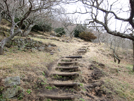 20200122hike (29)